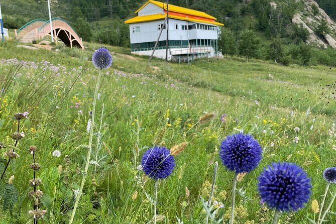 Full Day Private Tour in Terelj National Park with Horse Riding - Price and Value: Is $130 Per Person Worth a Private Full Day?