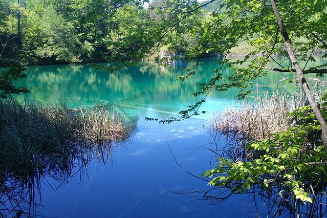 Full-Day Private Tour of Plitvice Lakes National Park from Zadar - Key Highlights
