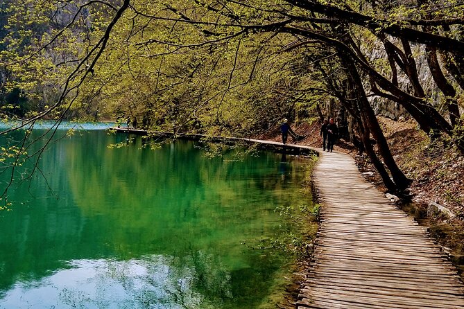 Full-Day Private Tour of Plitvice Lakes National Park from Zadar - Weather reality: Plitvice depends on the day