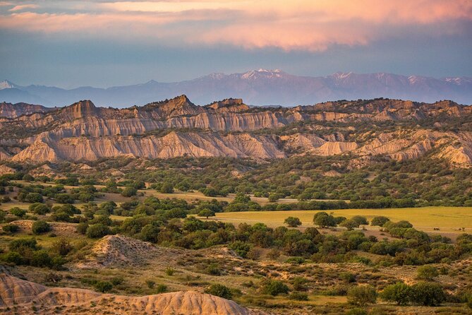 Full-Day Private Wilderness Tour in Vashlovani National Park - Vashlovani National Park: why this semi-arid day feels special