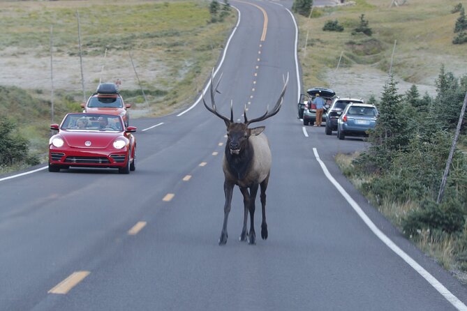 Full-Day Rocky Mountain National Park "Over The Top Tour" - RMNPhotographer - Weather on Trail Ridge Road: the day you should expect