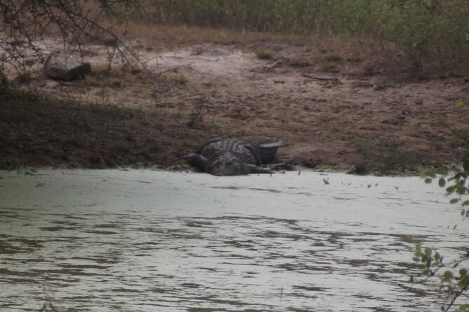 Full Day Safari Tour in Yala National Park - Transfers from Tissamaharama and Yala: the easy start matters