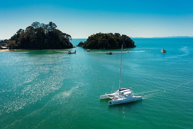 Full-Day Sailing Adventure in the Abel Tasman National Park - Quick reasons this Abel Tasman sail is worth your time