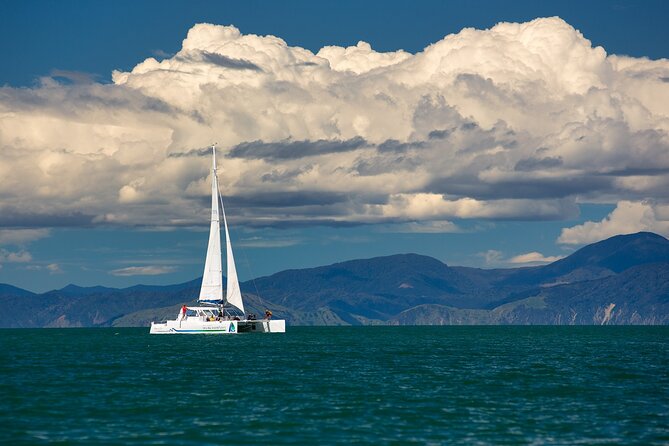 Full-Day Sailing Adventure in the Abel Tasman National Park - Food and drinks onboard: included lunch without planning stress