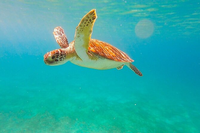 Full-Day Sailing Tour in Virgin Islands National Park - Price and value: is $285 fair for a 6-hour day like this?