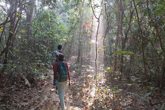 Full Day Sreemangal Tea Garden & National Park Hiking Tour - Sreemangal in One Day: tea hills, rainforest hikes, and lotus-water calm