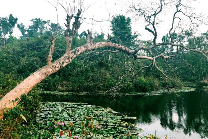Full Day Sreemangal Tea Garden & National Park Hiking Tour - Your guide can make or break the day (and this tour leans hard on that)