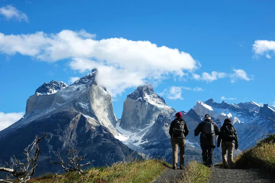 Full-Day Torres del Paine National Park from El Calafate - Key Things to Know Before You Go
