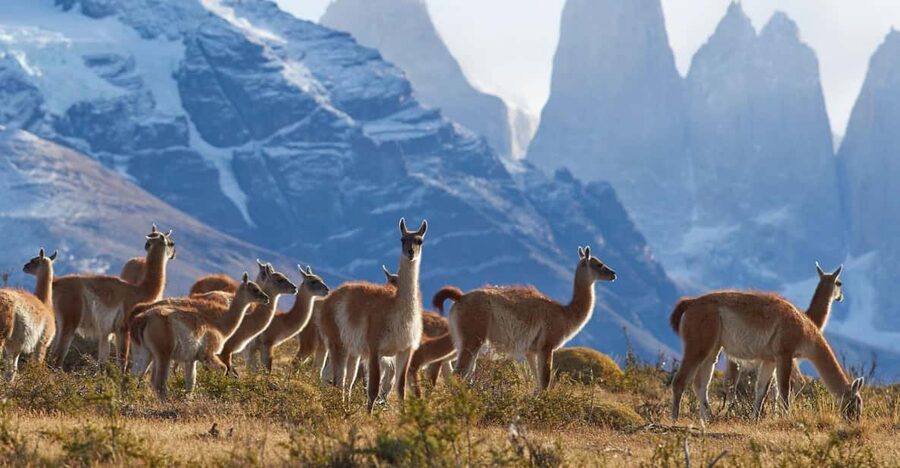 Full-Day Torres del Paine National Park from El Calafate - How Bumpy Is the Ride, Really?