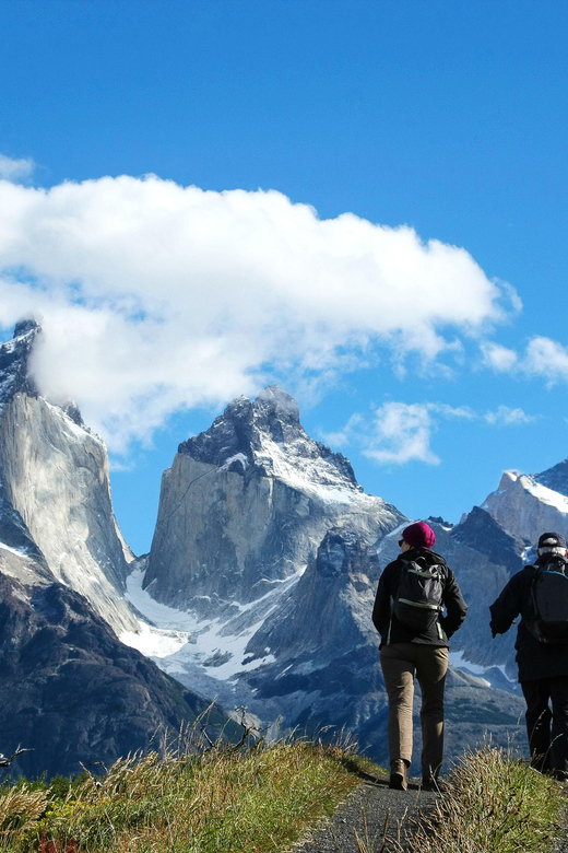 Full-Day Torres del Paine National Park from El Calafate - Grey Glacier: Ice Scenery Without the Long Ice Hike