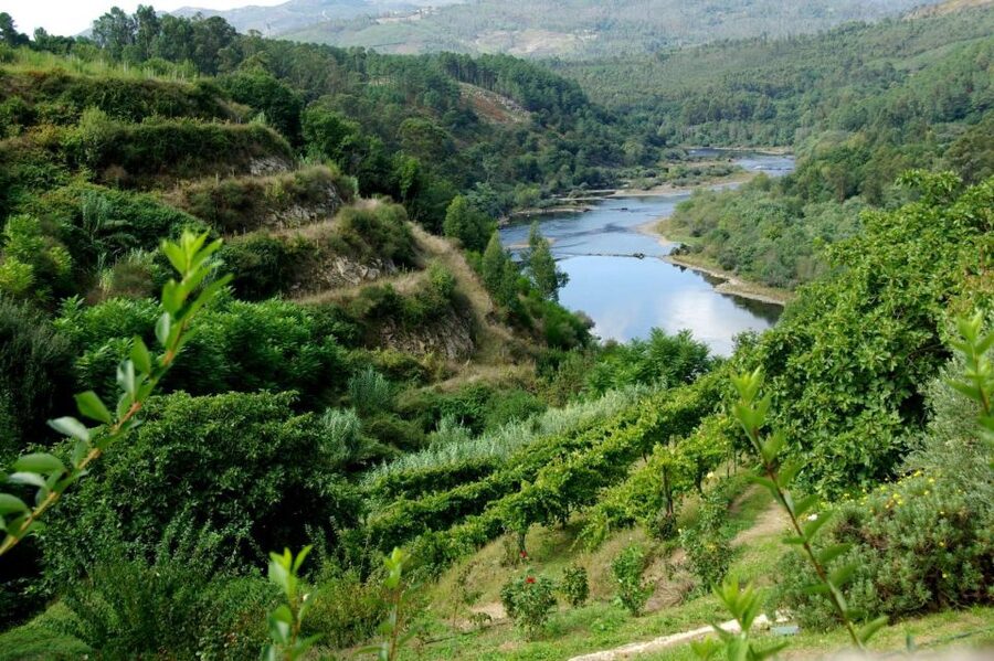 Full Day Tour in Peneda Gerês National Park - Pedra Bela Viewpoint and Portela do Homem: where the views do the talking