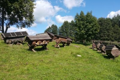 Full-Day Tour to Aukstaitija National Park from Vilnius - From Vilnius to the Geographical Centre of Europe at Purnuškės