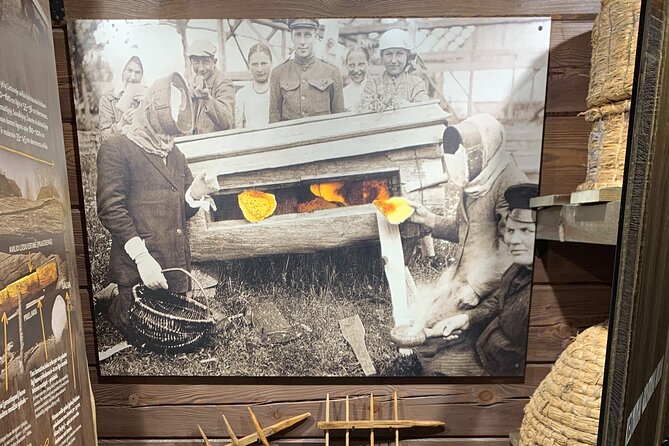 Full-Day Tour to Aukstaitija National Park from Vilnius - Museum of Ancient Beekeeping in Stripeikiai: A Hands-On Story