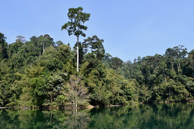 Full-Day Tour to Cheow Lan Lake in Khao Sok National Park from Krabi - Why Cheow Lan Lake feels like a different planet from Krabi