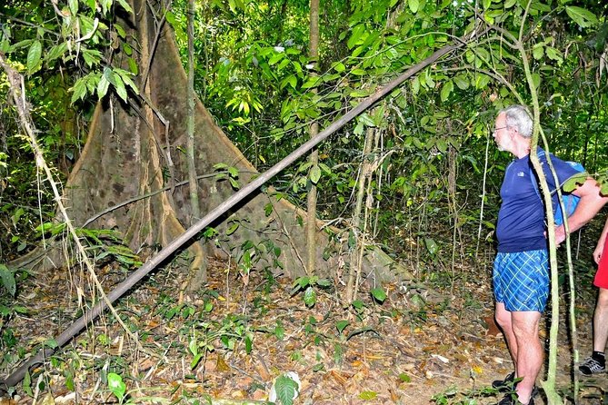 Full-Day Tour to Cheow Lan Lake in Khao Sok National Park from Krabi - Jungle hike + cave walk in Khao Sok: bring traction and curiosity