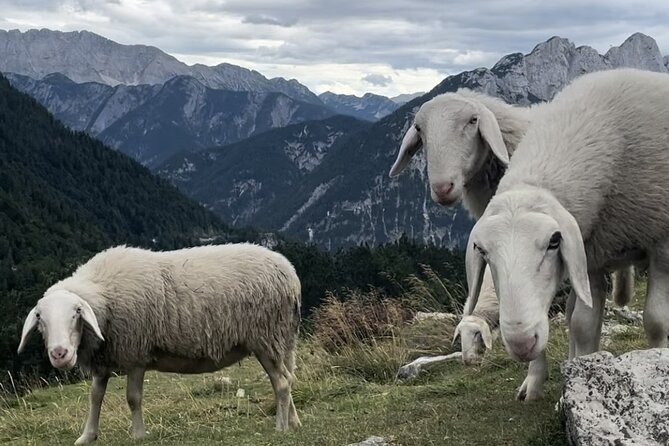 Full-Day Triglav National Park Tour from Ljubljana - Soča Valley for 4 hours: emerald river time (and how to plan it)