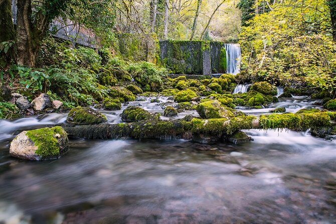Full-Day Trip from Belgrade: Tara National Park & The Drina River Valley - What’s included in the $138.78 price (and what you’ll need to budget)