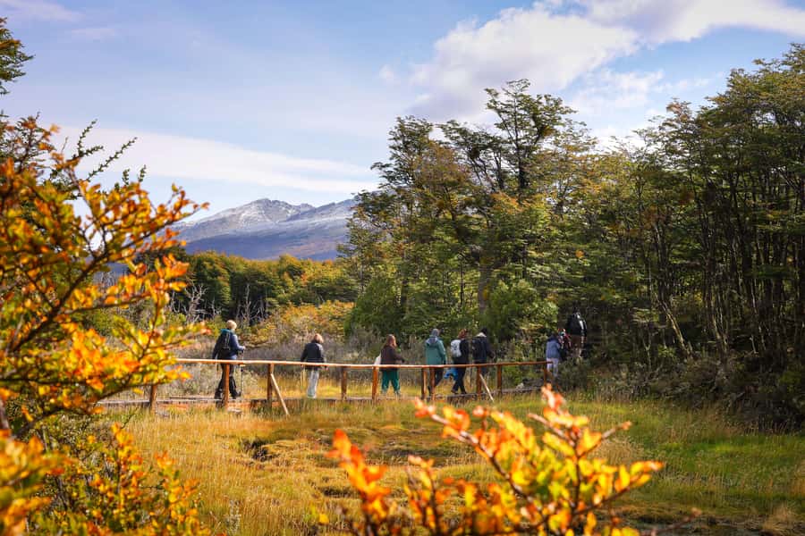 Full Day Trip to Tierra del Fuego National Park - Where this day trip works best (and why the timing matters)