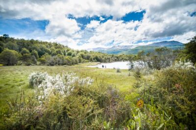 Full Day Trip to Tierra del Fuego National Park - Getting from Ushuaia: the 20-minute transfer and the first reality check