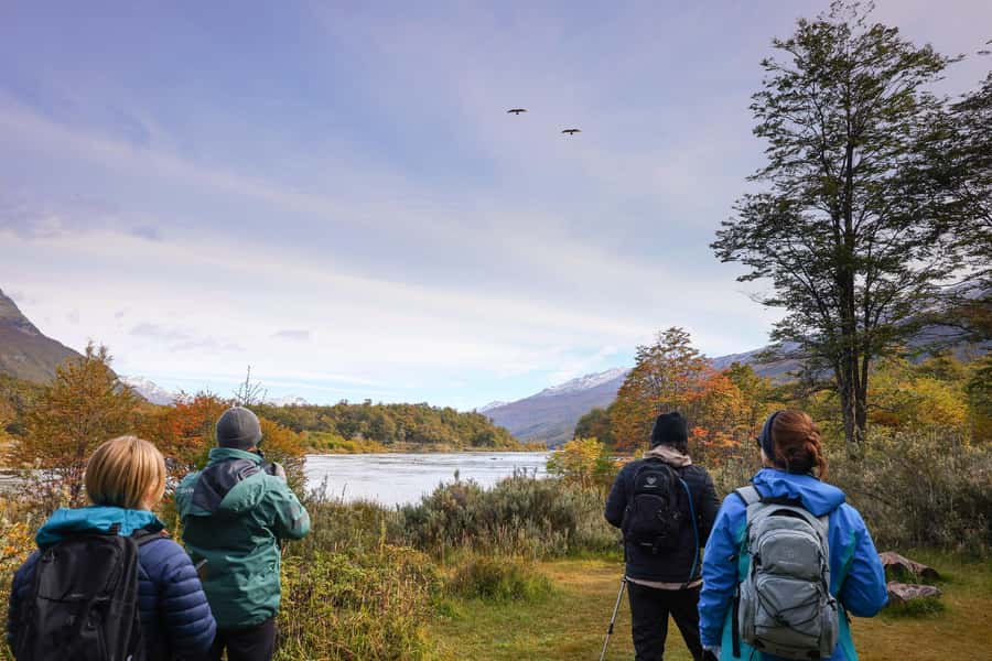 Full Day Trip to Tierra del Fuego National Park - Who should book this day trip, and who might not love it