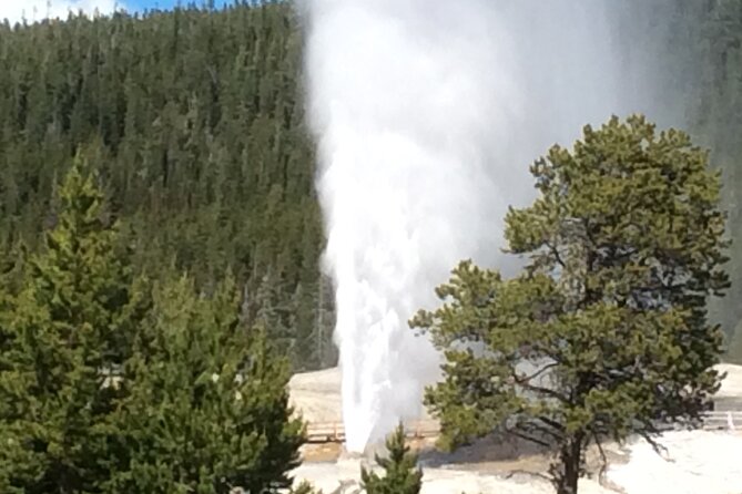 Full Day Yellowstone National Park Tour with lunch included - What This Tour Includes Versus What It Leaves Out