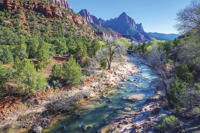 Full-Day Zion National Park Tour from Las Vegas - Vehicle comfort: climate-controlled rides with real seat trade-offs