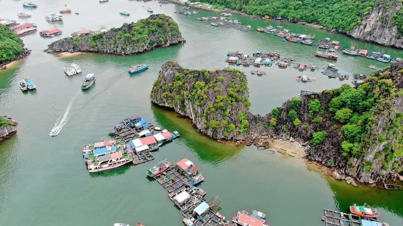 Fullday Trekking in Cat Ba National Park to Viet Hai Village - What to bring so the day feels smooth