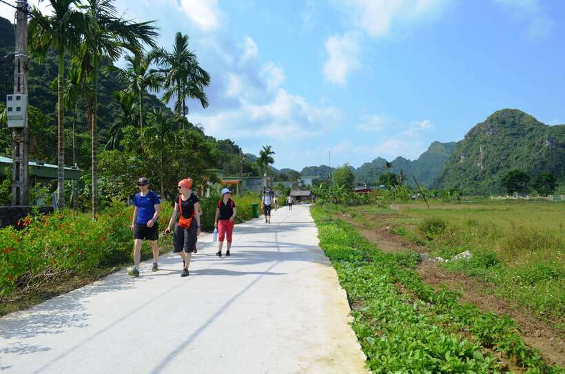 Fullday Trekking in Cat Ba National Park to Viet Hai Village - Who this trip suits best (and who should skip it)