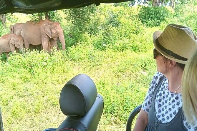Fully Private Udawalawe National Park Safari Tour - Key points worth knowing before you go