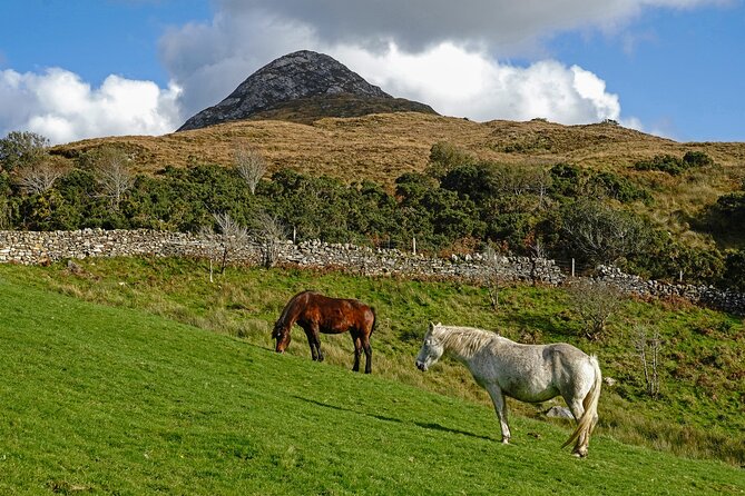 Galway to Connemara National Park Day Tour - Connemara National Park: how to use your 2 hours wisely