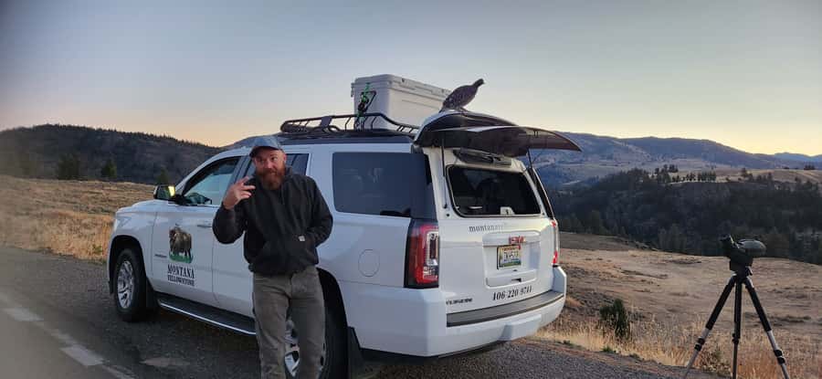 Gardiner: Yellowstone National Park Wildlife Guided Tour - Key things to know before you go