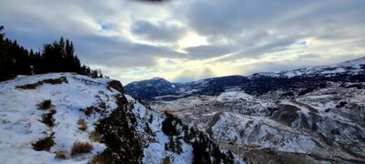 Gardiner: Yellowstone National Park Wildlife Guided Tour - SUV Route: Covering Ground Without the Chaos