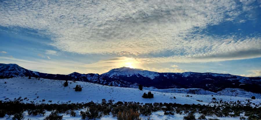 Gardiner: Yellowstone National Park Wildlife Guided Tour - Breakfast and Lunch Included: Real Food for Real Hours