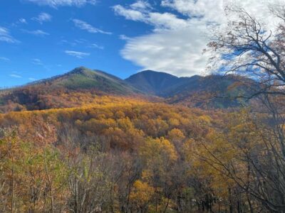 Gatlinburg: Great Smoky Mountains National Park Classic Tour - Where You Start: Gatlinburg Welcome Center to the Mountains