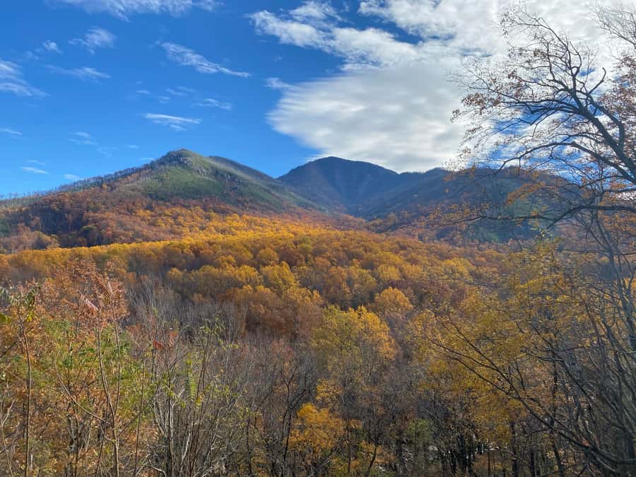 Gatlinburg: Great Smoky Mountains National Park Classic Tour - Where You Start: Gatlinburg Welcome Center to the Mountains