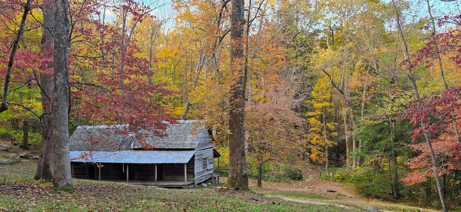 Gatlinburg: Great Smoky Mts National Park Waterfall Tour - Small Details That Make a Difference
