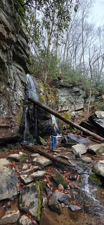 Gatlinburg: Great Smoky Mts National Park Waterfall Tour - Guided Walking Through Pioneer Cabins and Ancient Trees