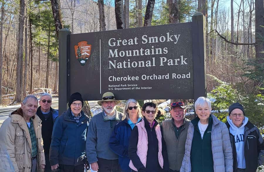 Gatlinburg: Great Smoky Mts National Park Waterfall Tour - The Trail Itself: Ferns, Mossy Boulders, and Waterfall Hints