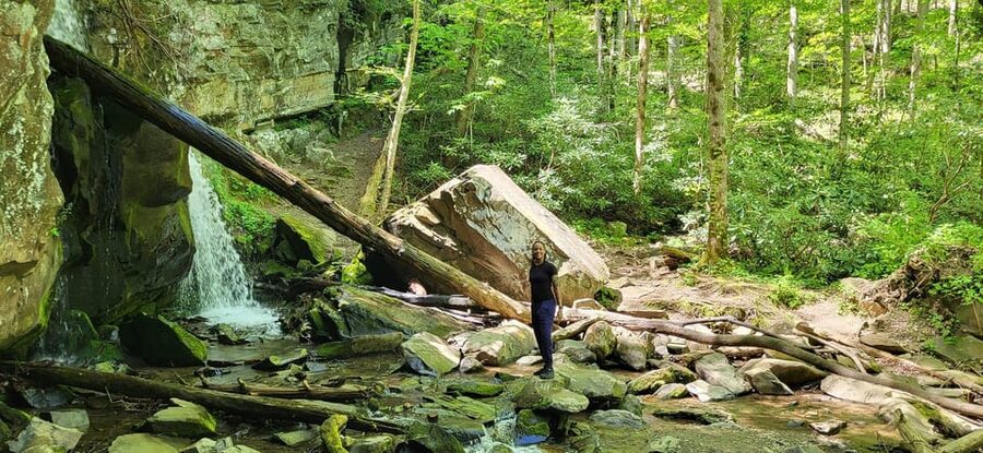 Gatlinburg: Great Smoky Mts National Park Waterfall Tour - Who This Tour Fits Best in Gatlinburg