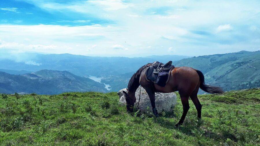 Gerês Braga: Horseback Ride in Peneda Gerês National Park - Arriving in Campo de Gerês: where the ride actually starts
