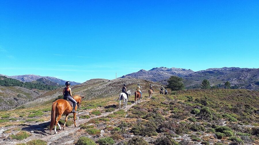 Gerês Braga: Horseback Ride in Peneda Gerês National Park - Getting set up: helmet, guide, and first comfort checks