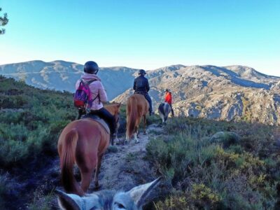Gerês Braga: Horseback Ride in Peneda Gerês National Park - The first leg: dirt paths and old trails you can feel