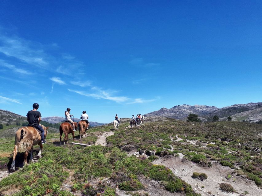Gerês Braga: Horseback Ride in Peneda Gerês National Park - What’s included in the $97 price, and why it’s fair