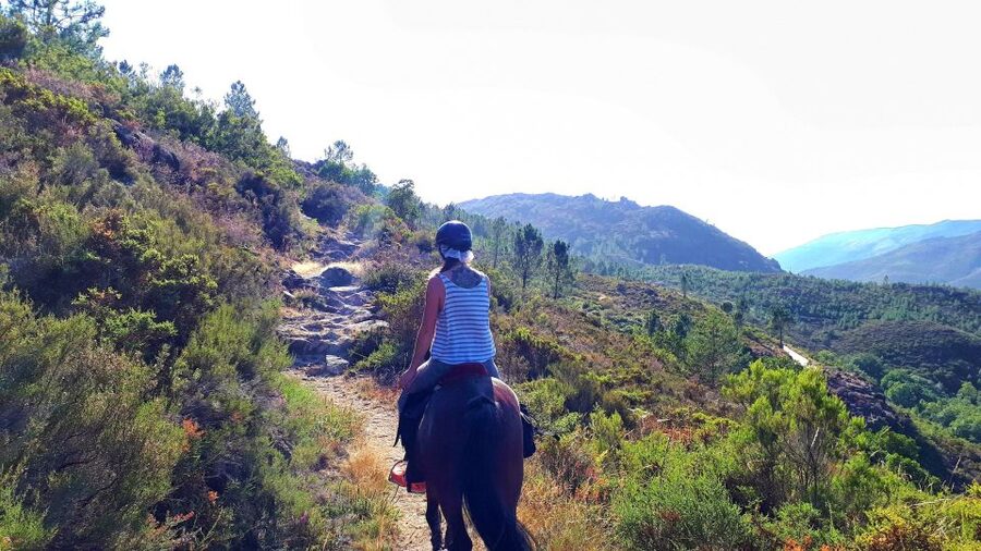 Gerês Braga: Horseback Ride in Peneda Gerês National Park - Private group riding: why it changes the vibe