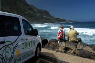 Get to know the Teide National Park and the north of Tenerife on a private tour - North Tenerife Drive: Clouds, Vegetation Shifts, and Volcanic Views on the Way