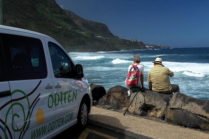 Get to know the Teide National Park and the north of Tenerife on a private tour - North Tenerife Drive: Clouds, Vegetation Shifts, and Volcanic Views on the Way