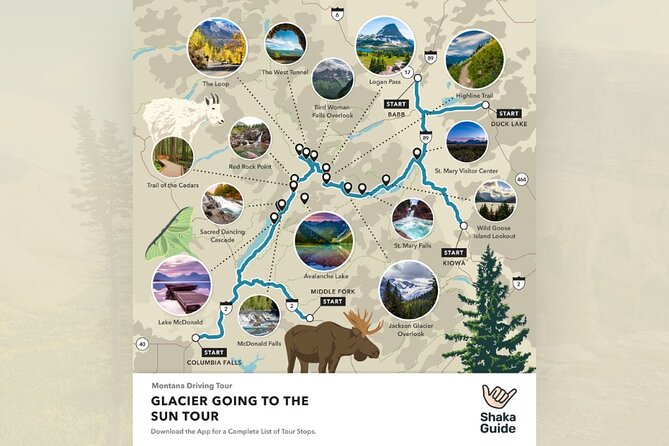 Glacier National Park Going-to-the-Sun Road Self-Guided Tour - Trail of the Cedars to Avalanche Lake: easy loop, big reward hike