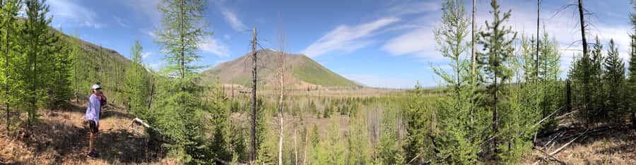 Glacier National Park: Morning Nature Walk - Key highlights you’ll feel right away