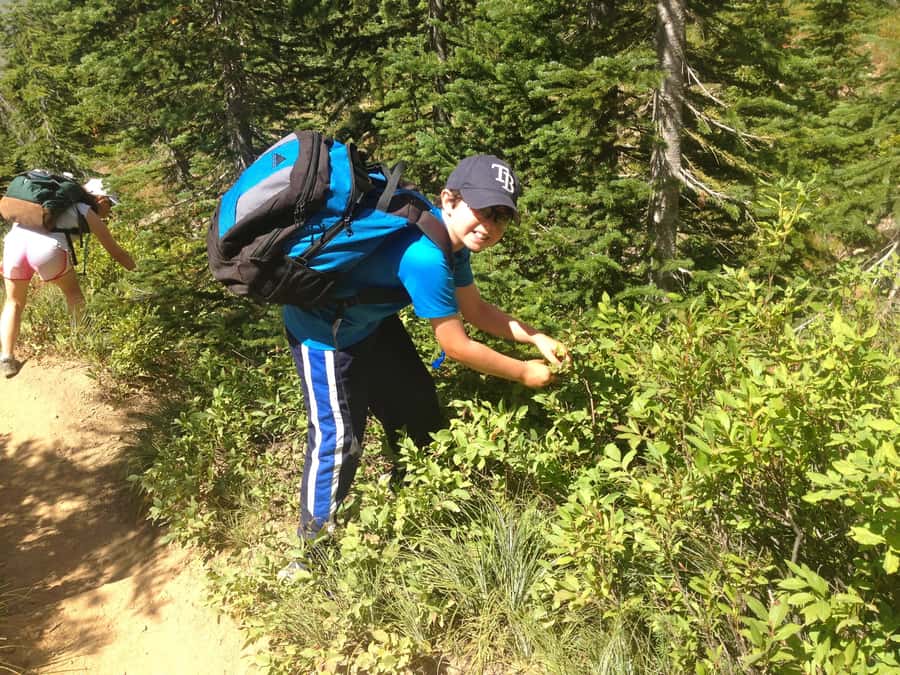 Glacier National Park: Morning Nature Walk - The first 20 minutes: orientation, gear check, then you’re gone
