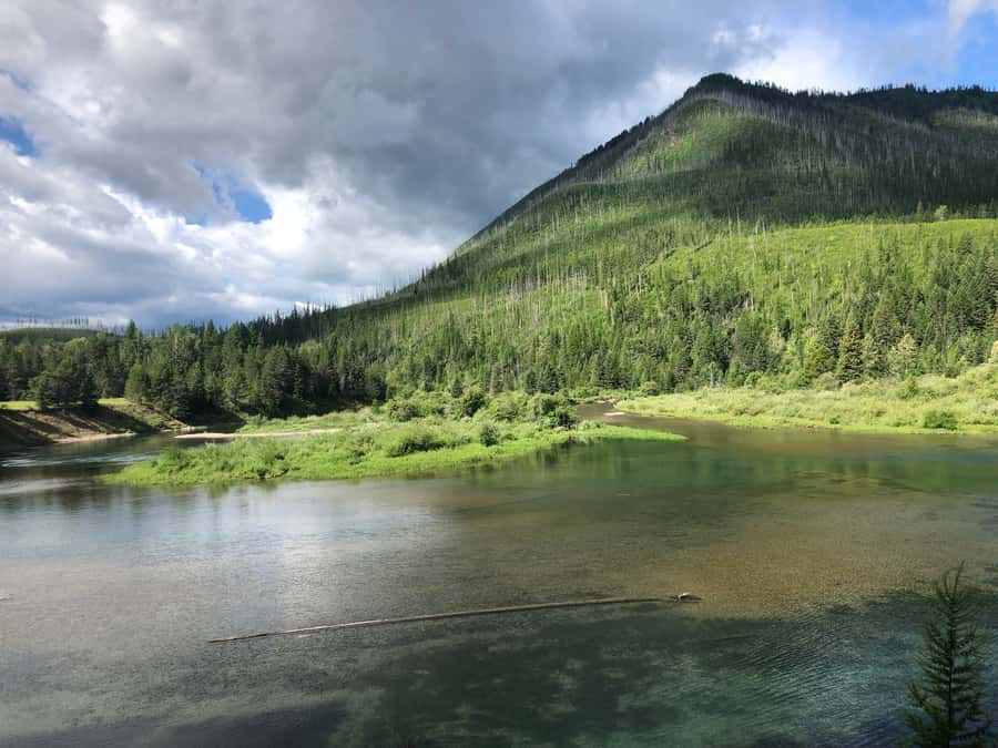 Glacier National Park: Morning Nature Walk - Scenic viewpoint stops on the way to the North Fork